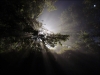 Filename=DSC01024.jpg
Filesize=220KiB
Dimensions=840x630
Date added=Mar 08, 2013 DSC01024.jpg
