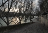 Filename=P3026350.jpg
Filesize=429KiB
Dimensions=932x650
Date added=Mar 03, 2013 P3026350.jpg