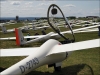 P5171662.jpg