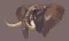 Filename=eleguy.png
Filesize=406KiB
Dimensions=1321x800
Date added=Oct 27, 2014 eleguy.png