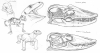 Filename=warane.png
Filesize=238KiB
Dimensions=900x480
Date added=Mar 31, 2011 warane.png