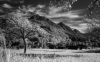 Filename=wiese_ir.jpg
Filesize=506KiB
Dimensions=1280x800
Date added=Sep 21, 2011 wiese_ir.jpg