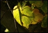 Filename=001.jpg
Filesize=469KiB
Dimensions=800x549
Date added=Oct 17, 2010 001.jpg