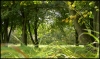 Filename=004.jpg
Filesize=649KiB
Dimensions=800x478
Date added=Oct 17, 2010 004.jpg